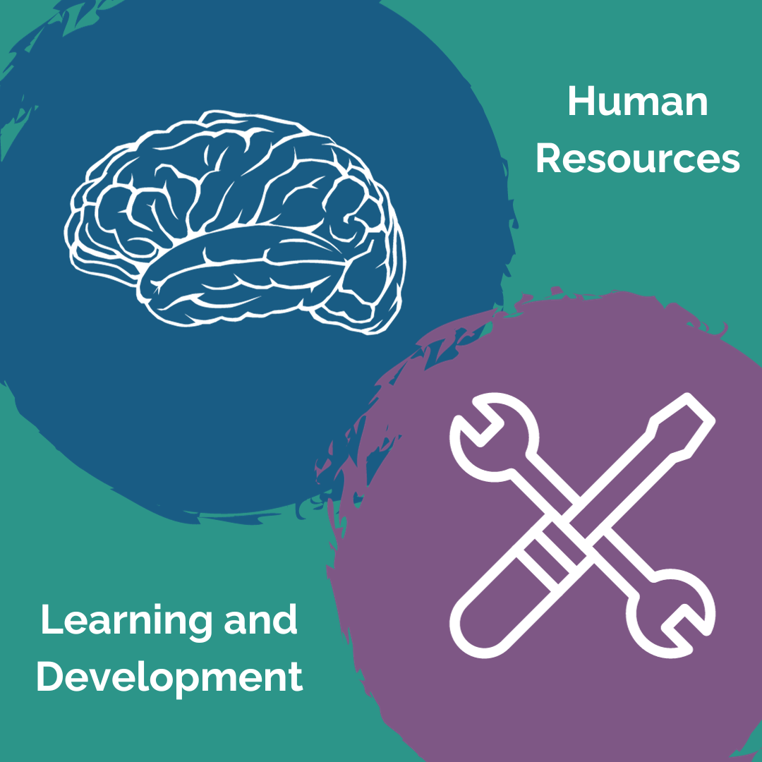 Human  Resources and Learning and Development: What’s the difference and how do they benefit your business?
